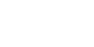 Logo Riello